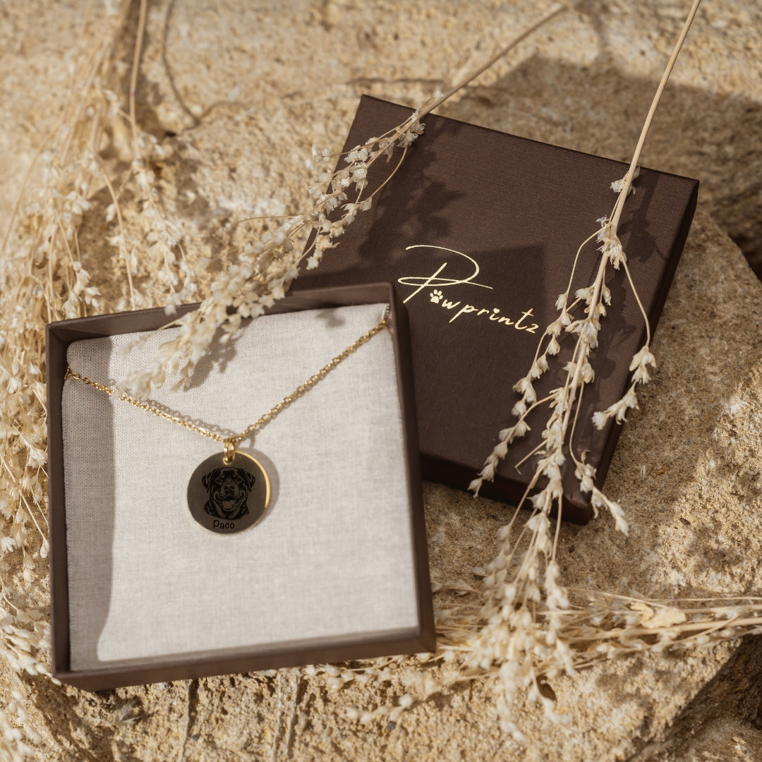 1.jpg__PID:edb7512b-7301-400a-afd1-f3521633e08d